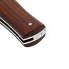 NUZ 241-DD-1/JAGUAR-COCOBOLO