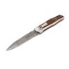 PREDATOR 241 WILDCAT ANTLER