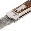 PREDATOR 241 WILDCAT ANTLER