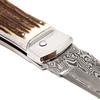 PREDATOR 241 WILDCAT ANTLER